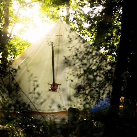 Hollington Park Glamping Hotel Newbury  Luaran gambar