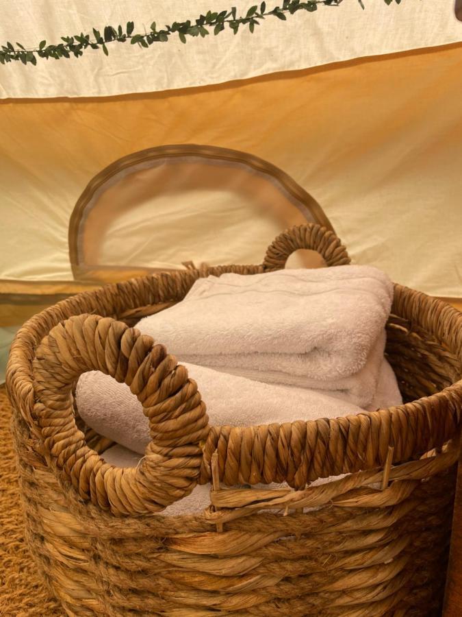 Hollington Park Glamping Hotel Newbury  Luaran gambar