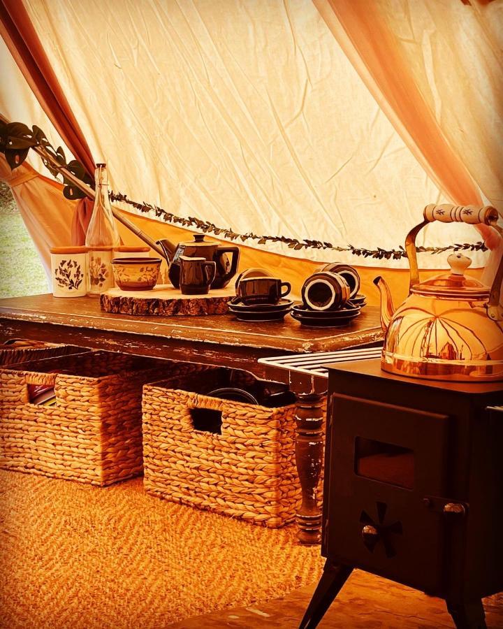 Hollington Park Glamping Hotel Newbury  Luaran gambar