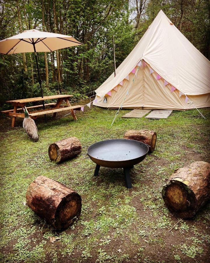 Hollington Park Glamping Hotel Newbury  Luaran gambar