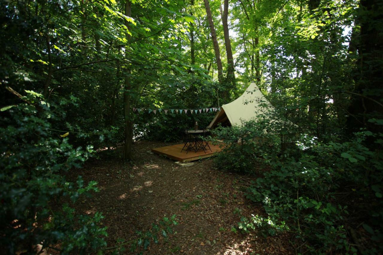 Hollington Park Glamping Hotel Newbury  Luaran gambar